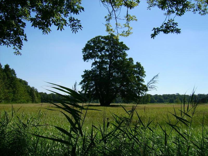 Jagdschloss Moenchbruch Mörfelden-Walldorf Buitenkant foto